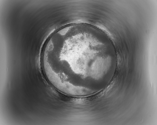 X0000094061278200710261218