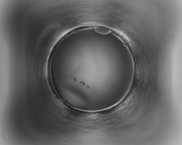 X0000094061279200710261218