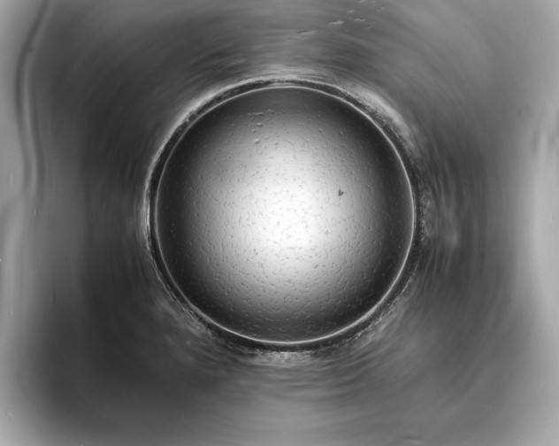 X0000094061280200710261218