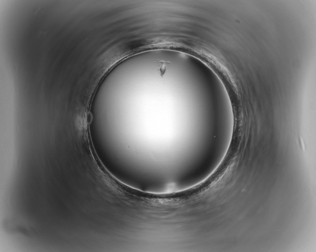 X0000094061281200710261218