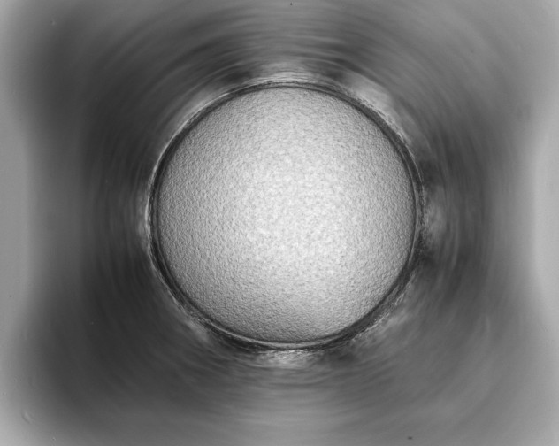 X0000094061282200710261218