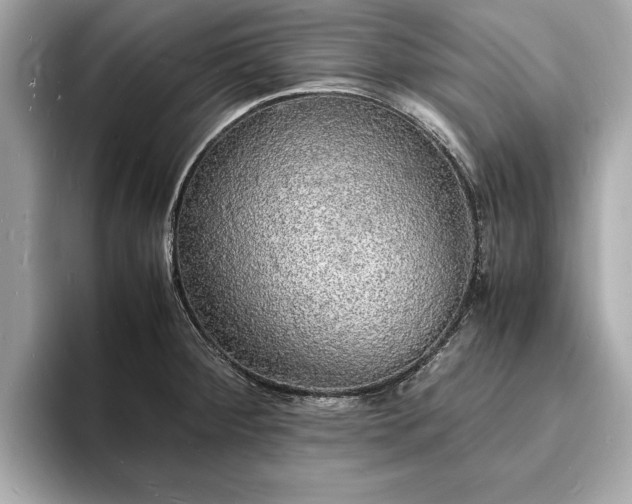 X0000094061284200710261218