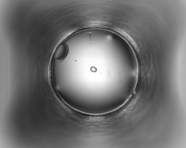 X0000094061285200710261218