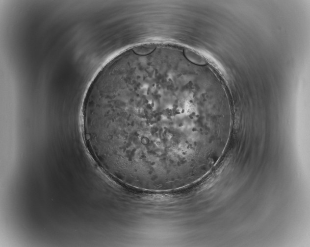 X0000094061287200710261218