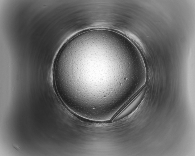 X0000094061288200710261218