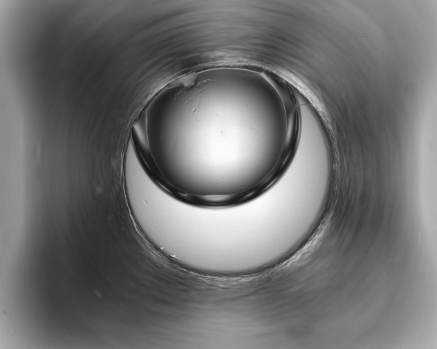 X0000094061289200710261218