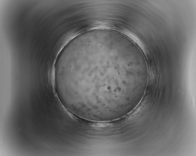 X0000094061290200710261218