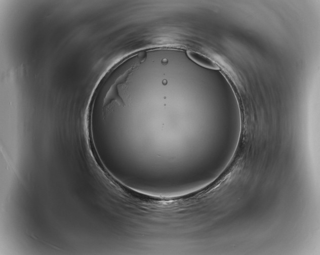 X0000094061291200710261218