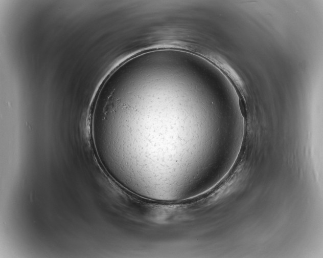 X0000094061292200710261218