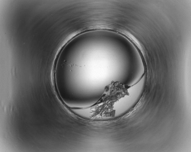 X0000094061293200710261218