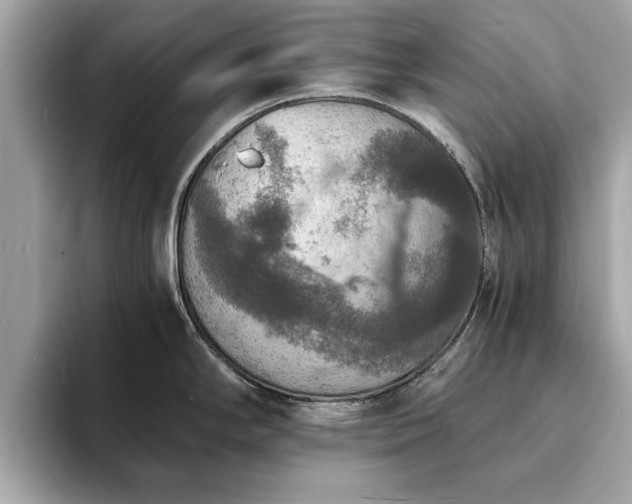 X0000094061294200710261218