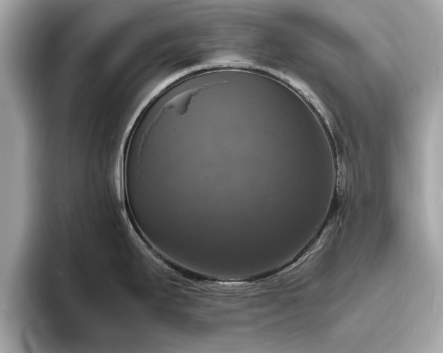 X0000094061295200710261218