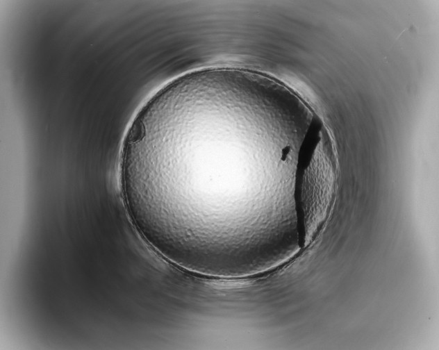 X0000094061296200710261218