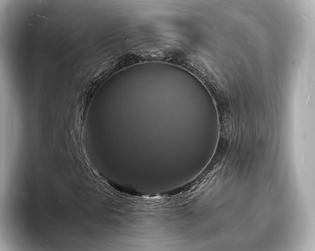 X0000094061297200710261217