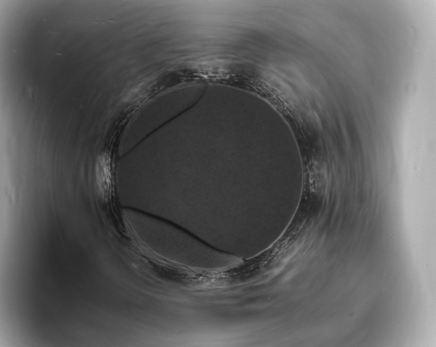 X0000094061298200710261217