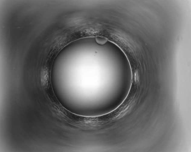 X0000094061299200710261217