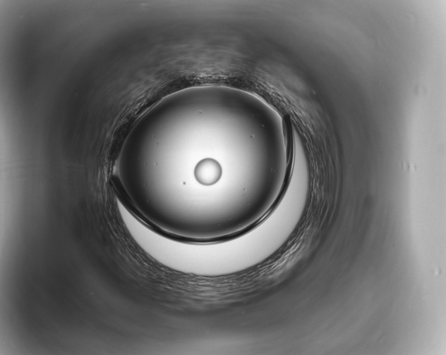X0000094061300200710261217