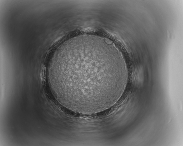X0000094061301200710261217