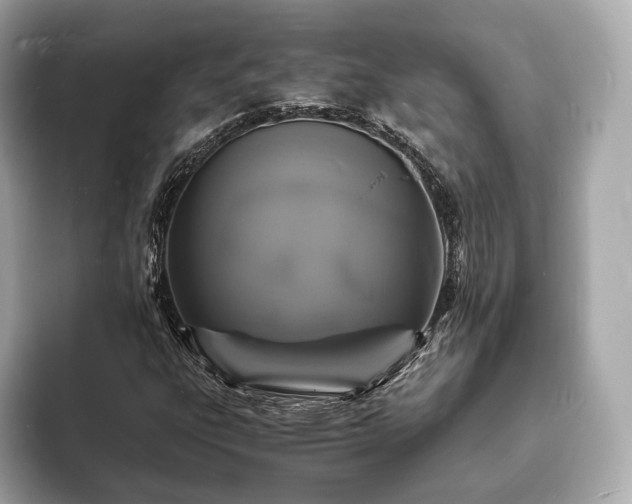X0000094061303200710261217