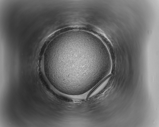 X0000094061304200710261217