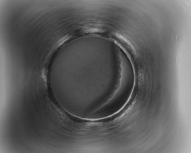 X0000094061305200710261217