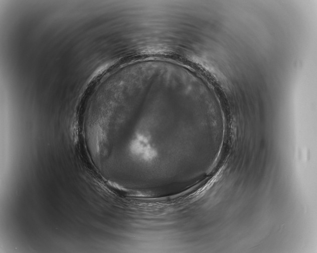X0000094061306200710261217