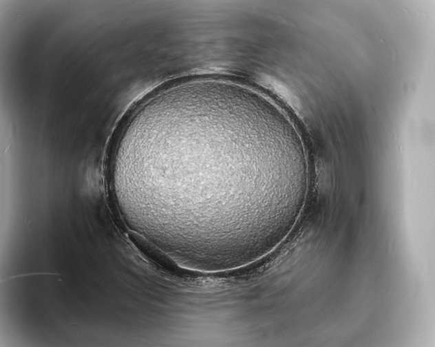 X0000094061308200710261217