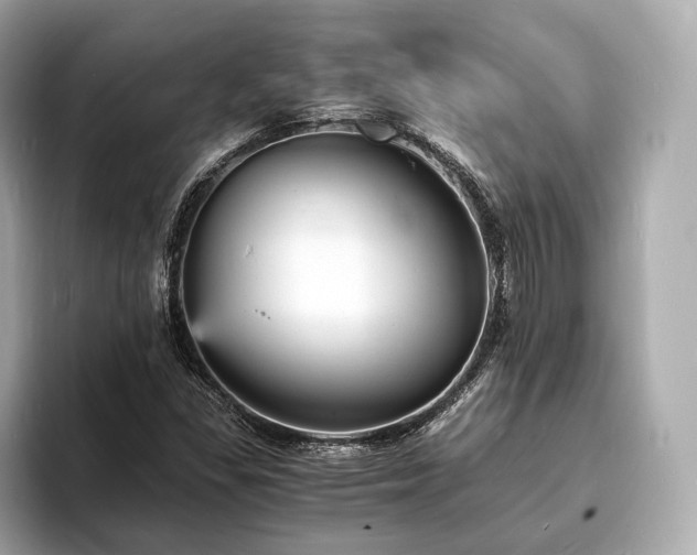 X0000094061309200710261217