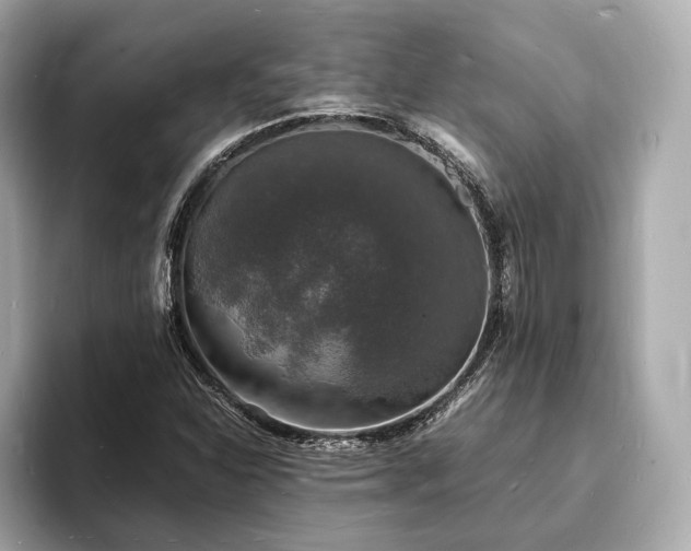 X0000094061310200710261217