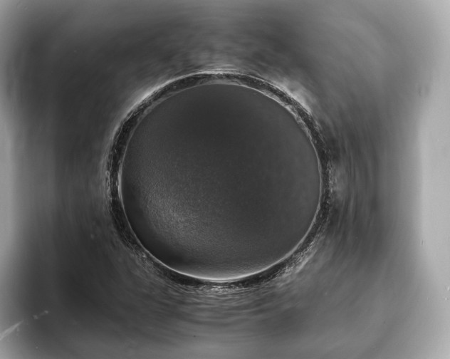 X0000094061311200710261217
