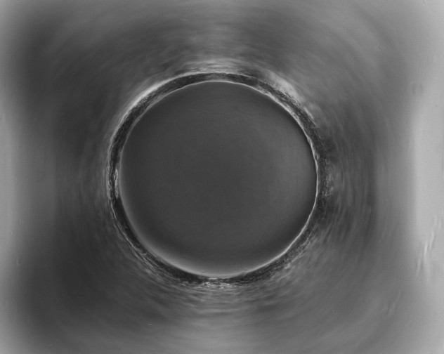 X0000094061312200710261217