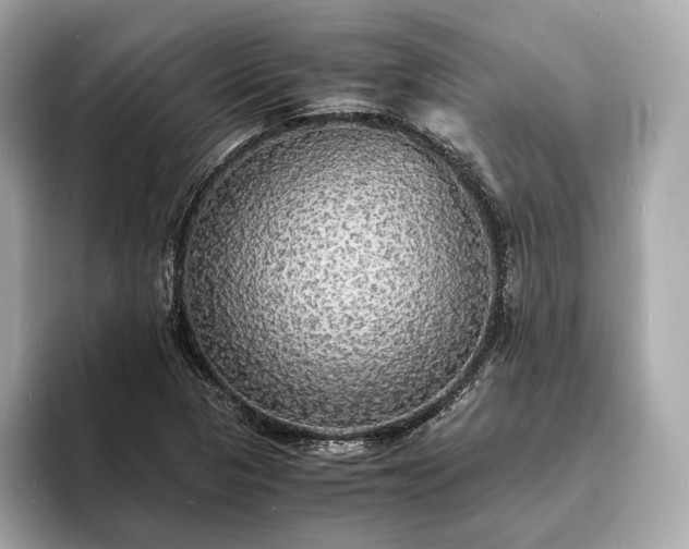 X0000094061313200710261217