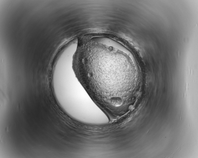 X0000094061314200710261217