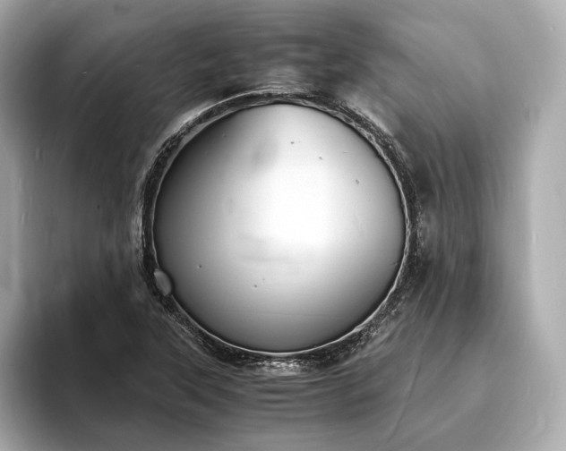 X0000094061315200710261217