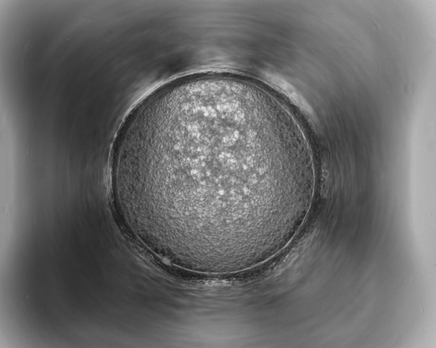 X0000094061316200710261217