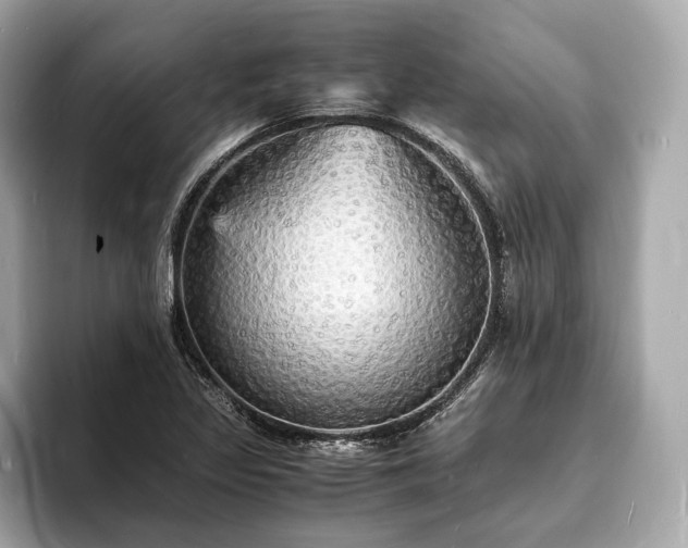 X0000094061317200710261217