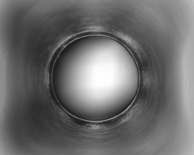 X0000094061318200710261217