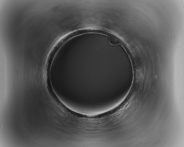 X0000094061319200710261217