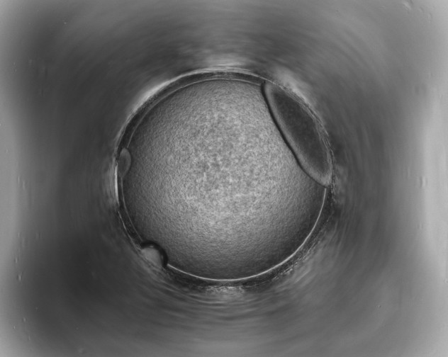 X0000094061320200710261217