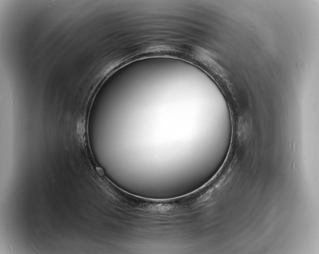 X0000094061321200710261217