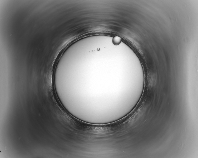 X0000094061322200710261217