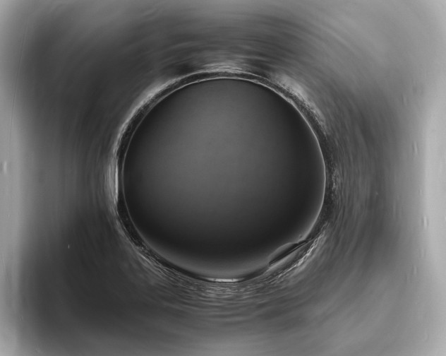 X0000094061323200710261217