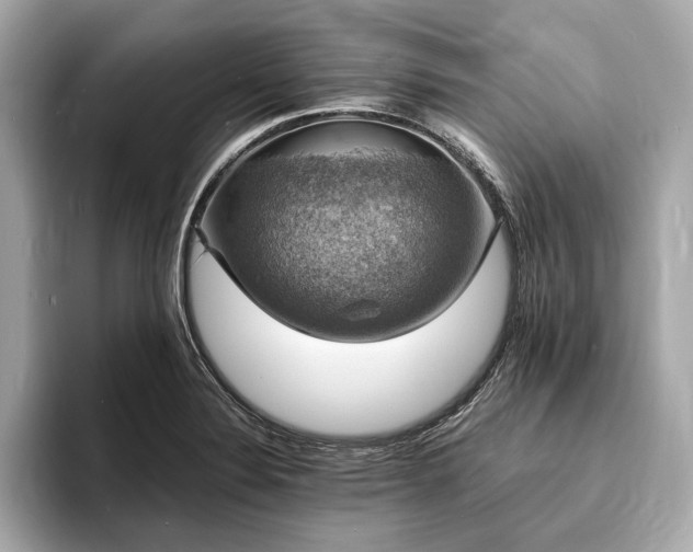 X0000094061324200710261217