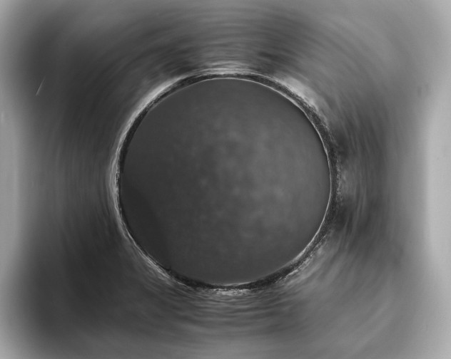X0000094061325200710261217