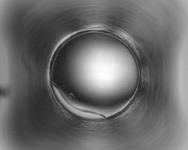 X0000094061328200710261217