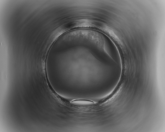 X0000094061329200710261217