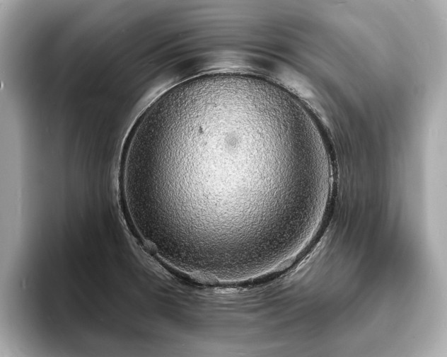 X0000094061330200710261217