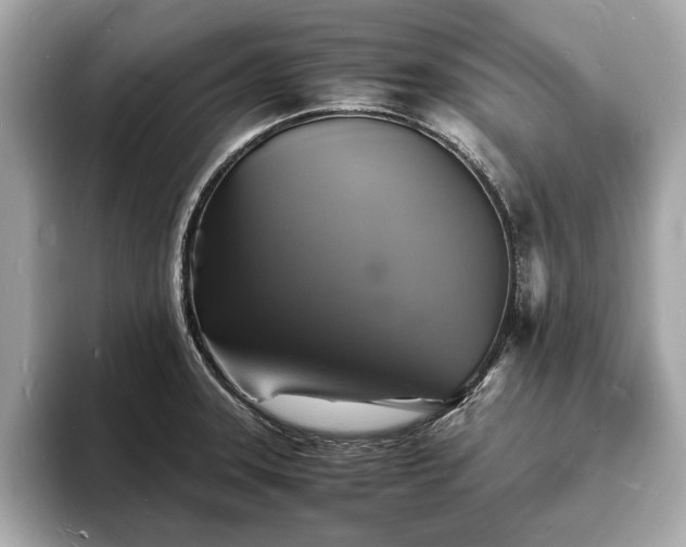 X0000094061331200710261217