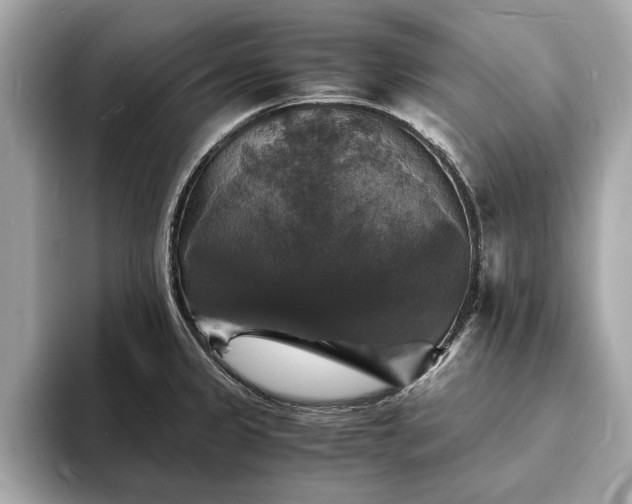 X0000094061333200710261217