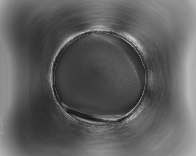 X0000094061334200710261217